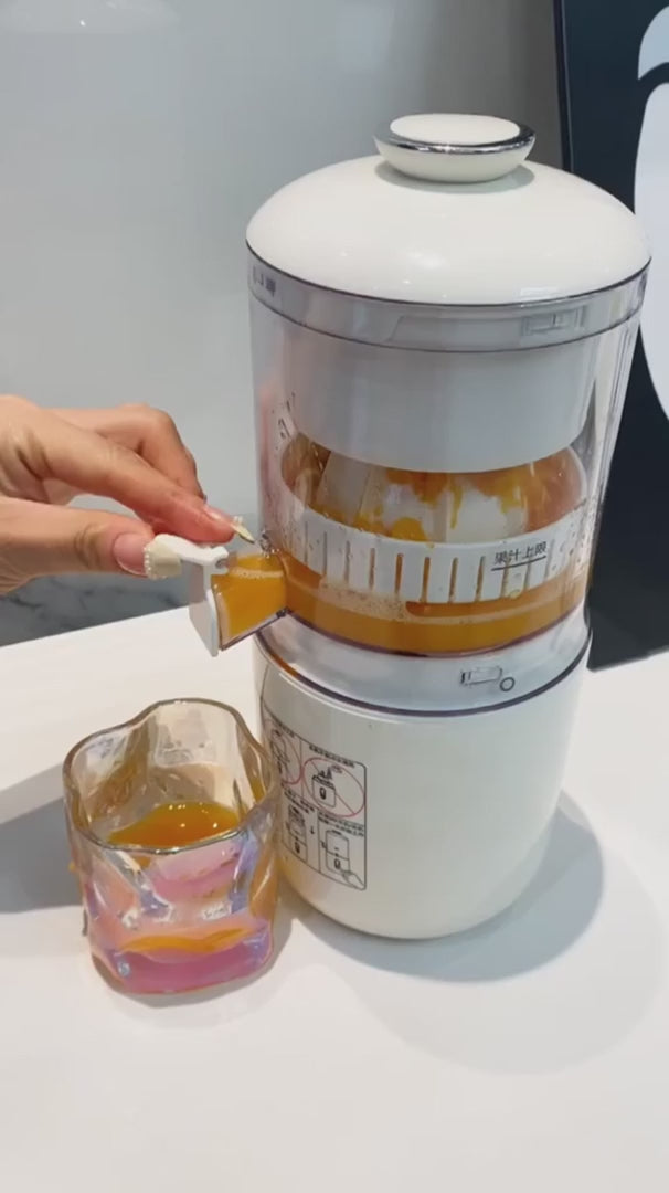 Electric Juicer Machine